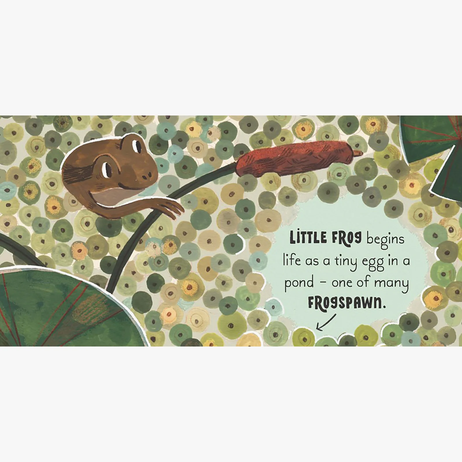 5 Minute Nature Story Box Board Book Set - Image 2