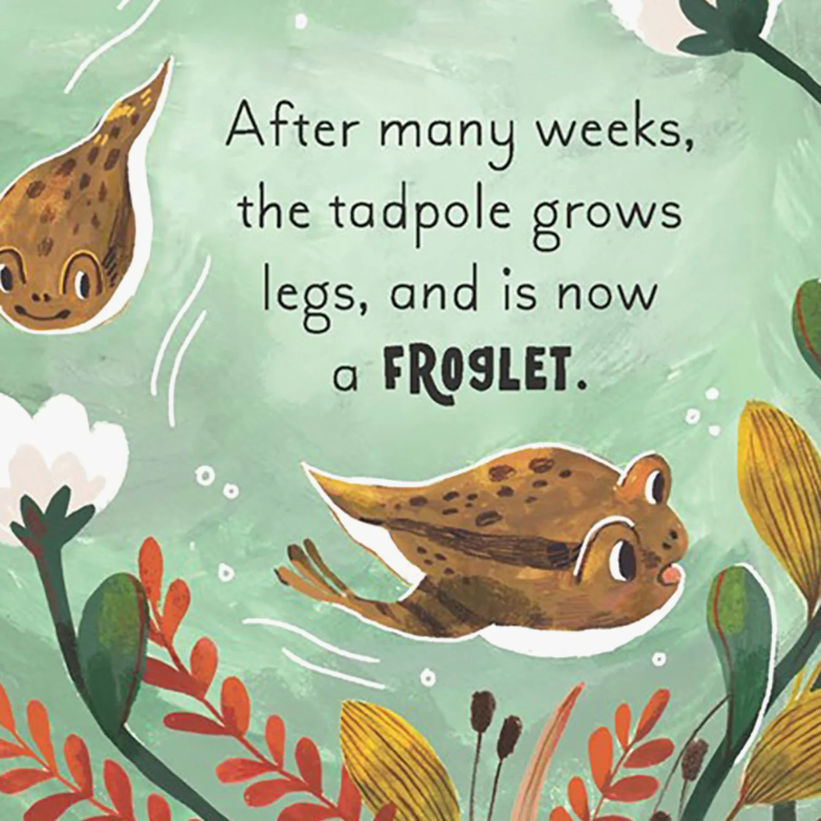 5 Minute Nature Story Box Board Book Set - Image 4