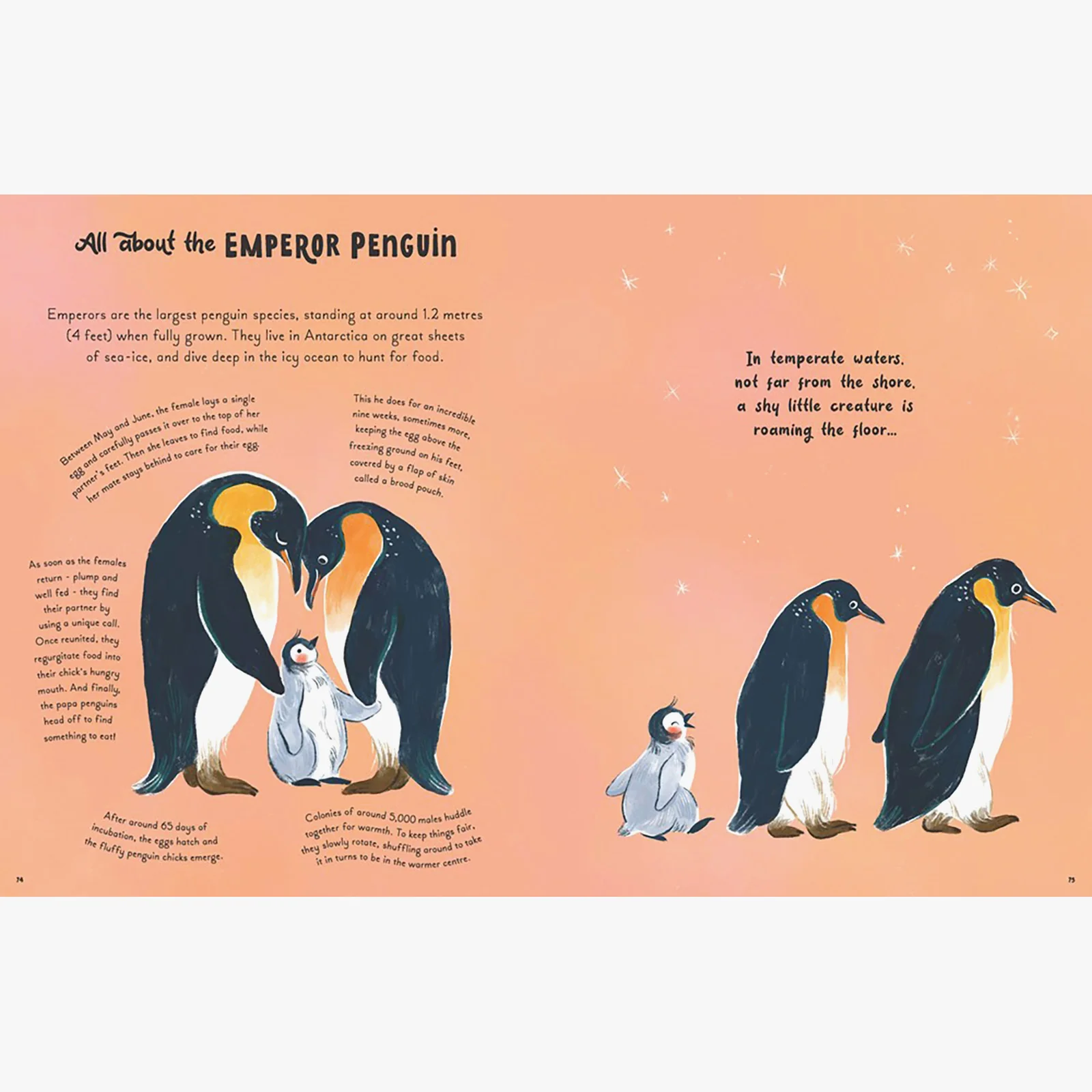 5 Minute Ocean Stories Read-Aloud Children's Book - Image 2