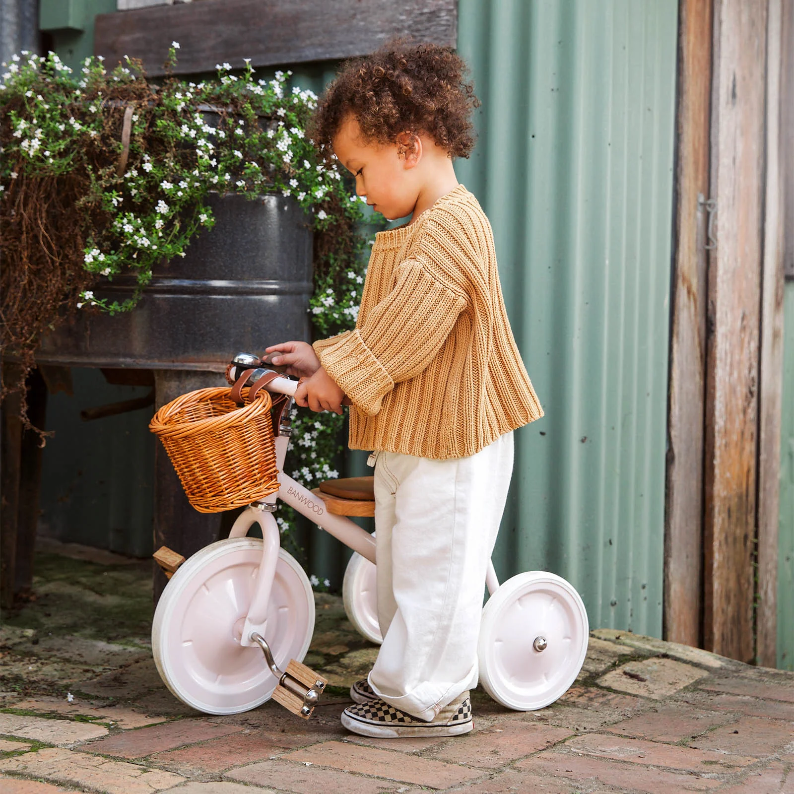 Banwood Trike - Image 8