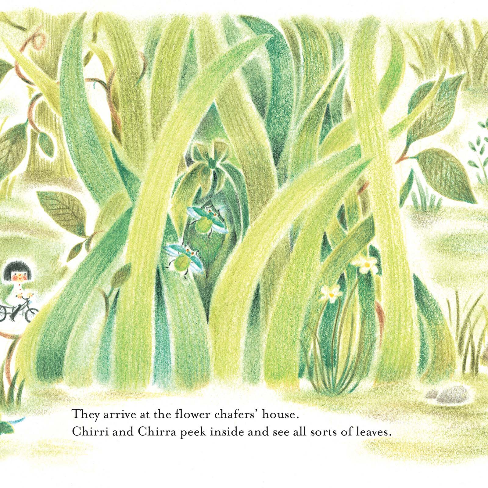 Chirri & Chirra In the Tall Grass Book - Image 2