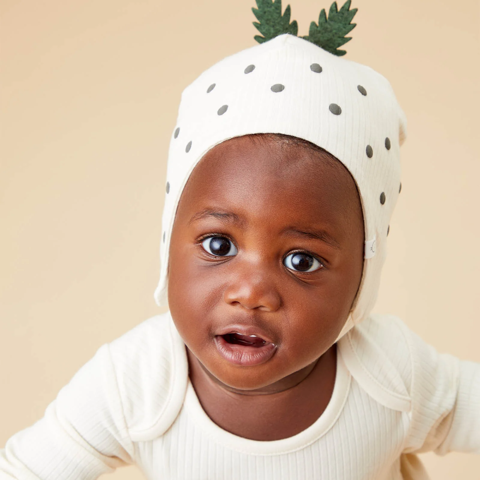 Christmas Pudding Bonnet