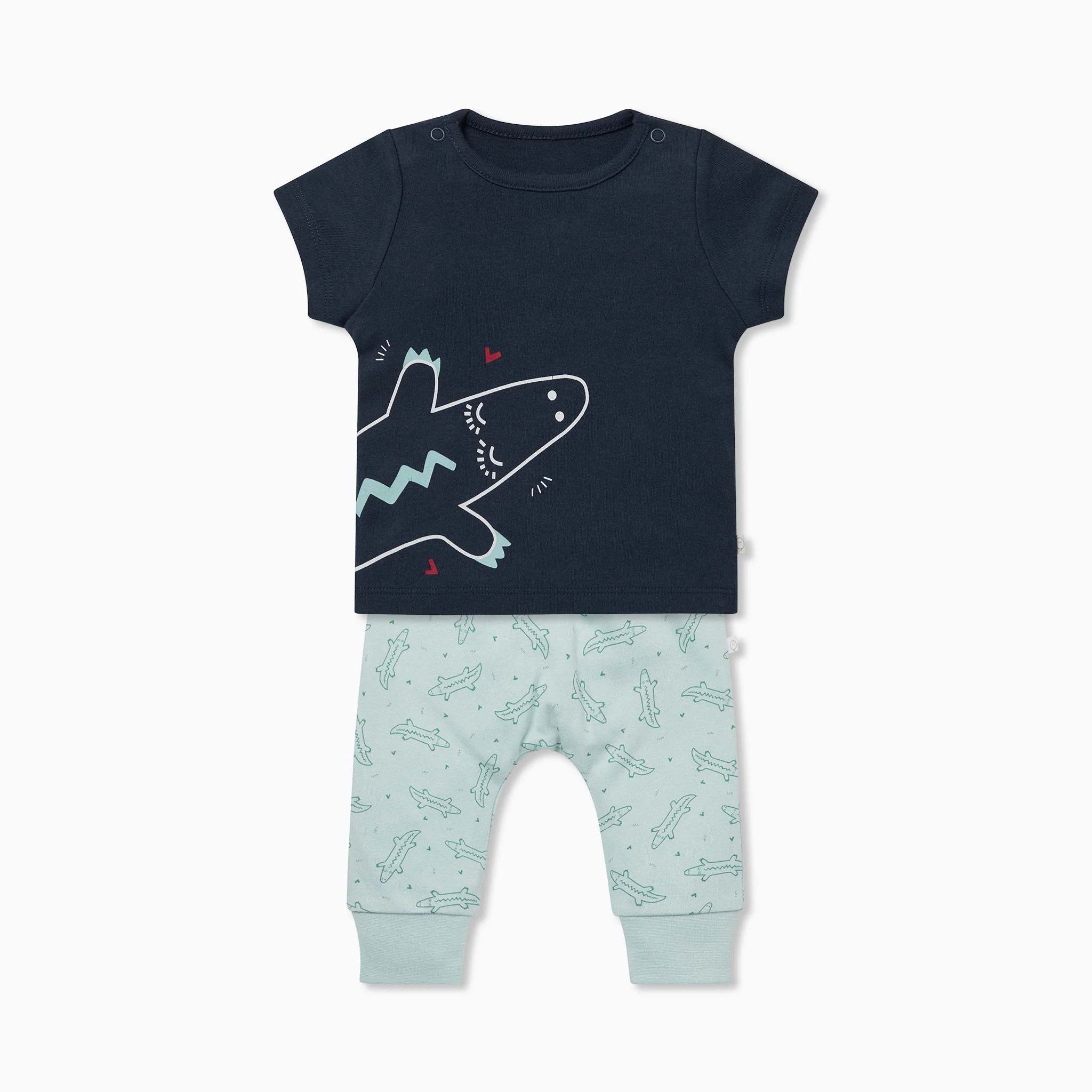 Crocodile Short Sleeve T-Shirt & Joggers Outfit - Image 2