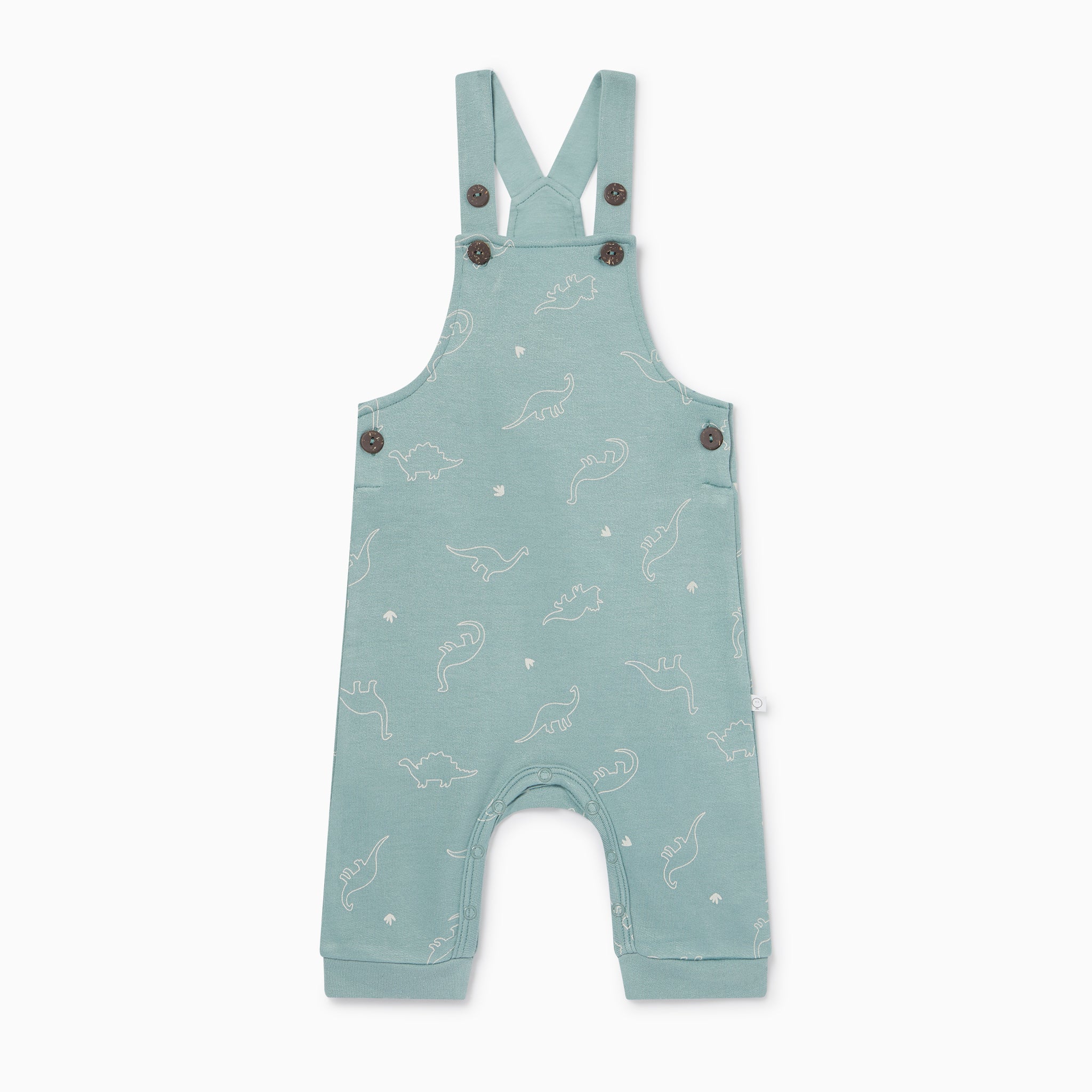 Dino Print Dungarees