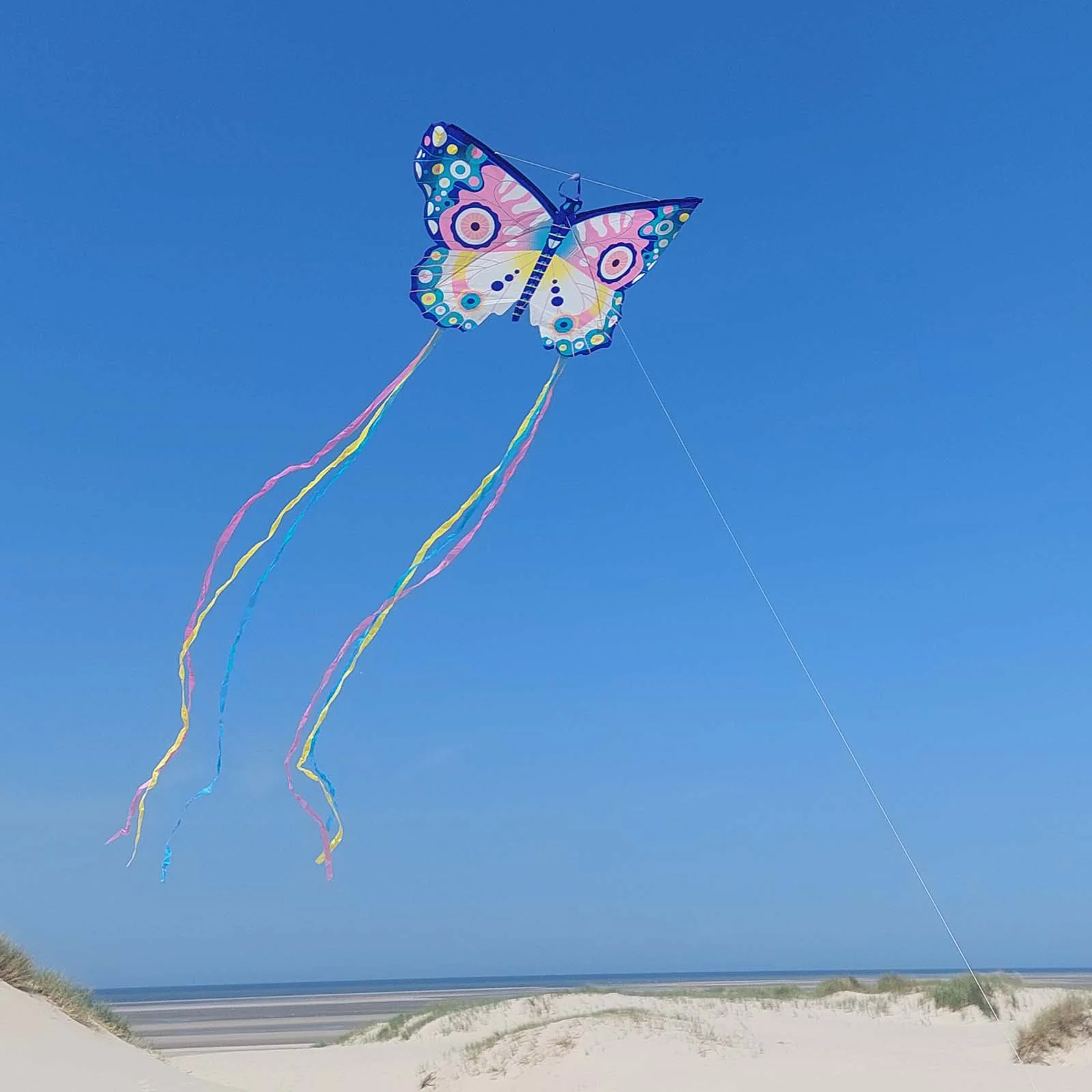 Djeco Maxi Butterfly Kite - Image 2