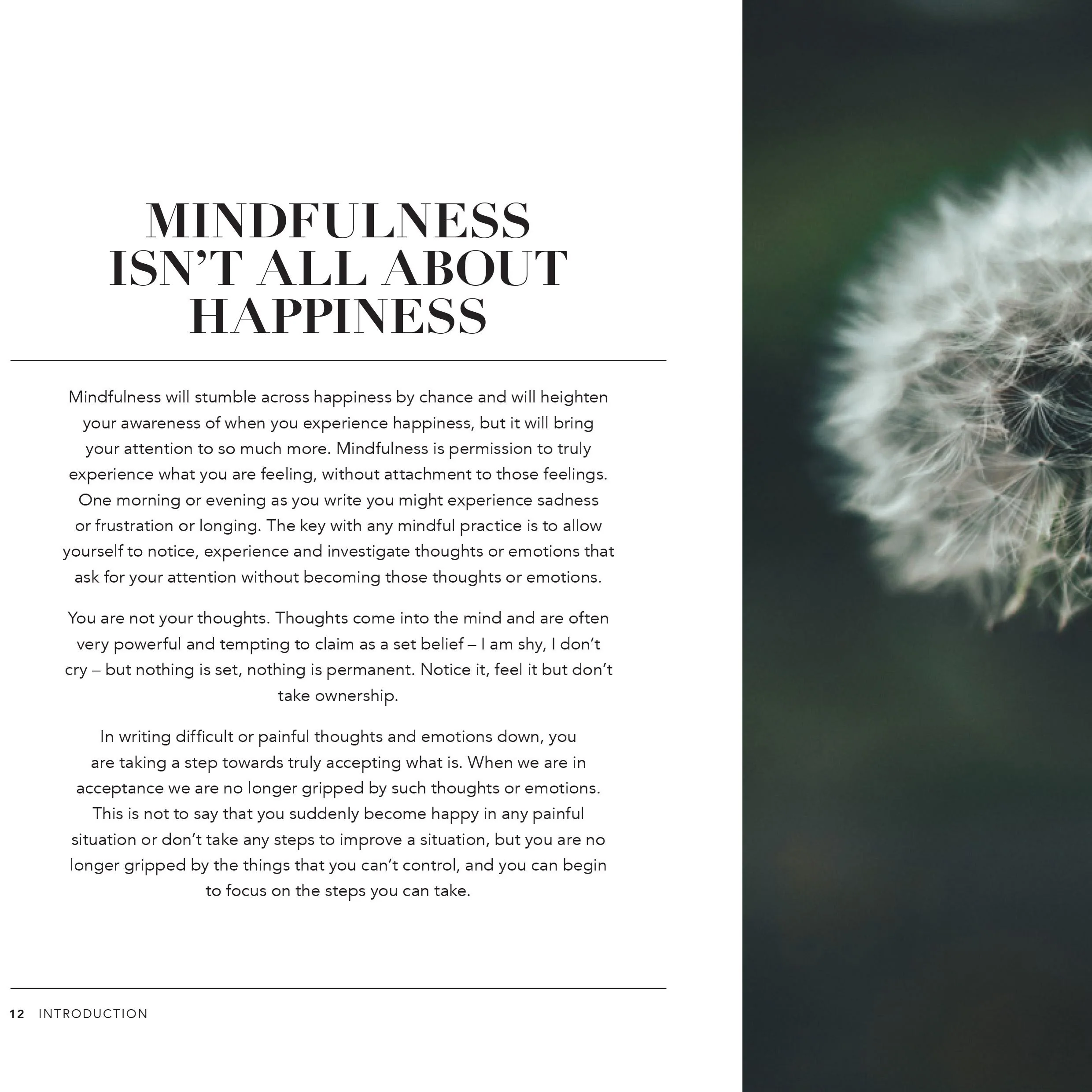 Five Minutes to a Mindful You Book - Image 2