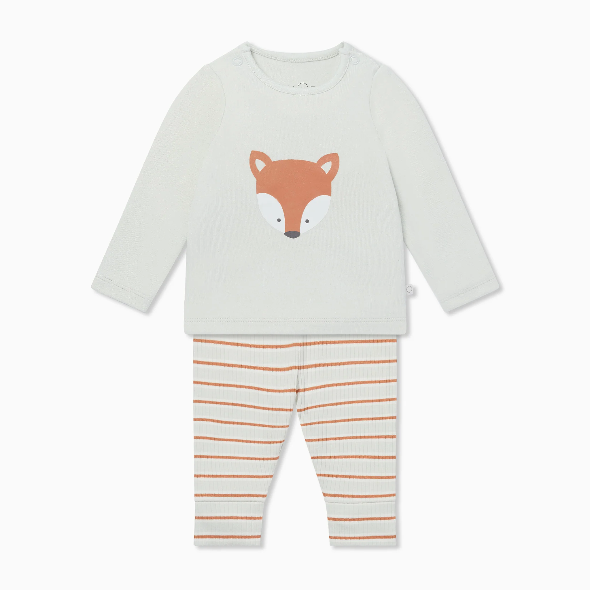 Fox T-Shirt & Striped Ribbed Leggings Outfit