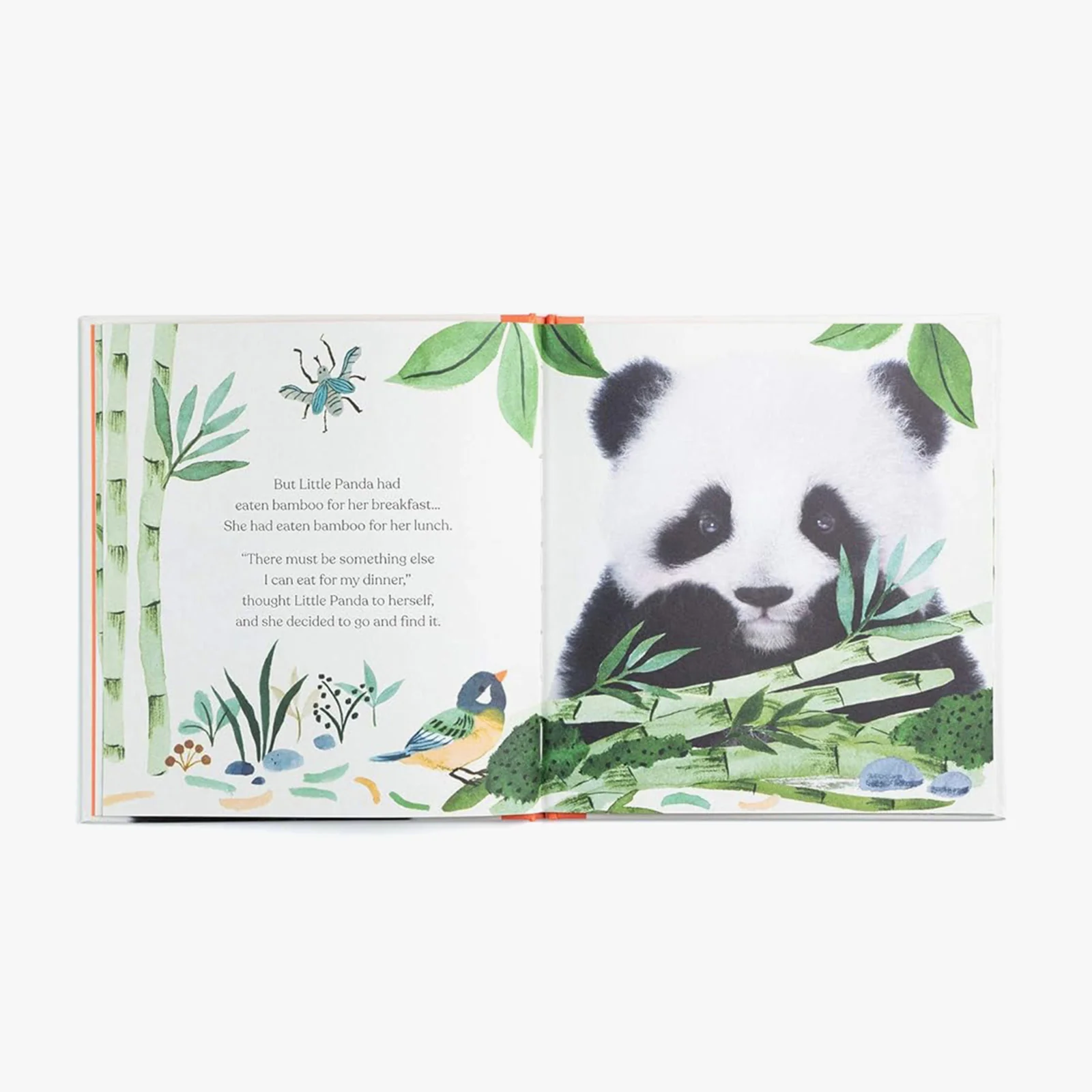 Goodnight, Little Panda Board Book - Image 3
