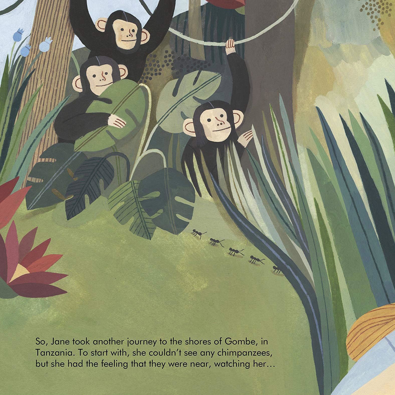 Little People Big Dreams: Earth Heroes Book Gift Set - Image 2