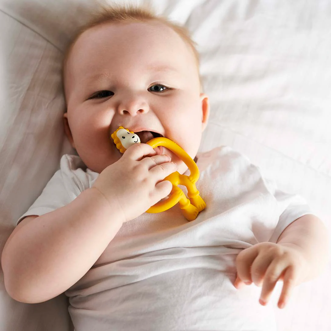 Matchstick Monkey Ludo Lion Teether - Image 5
