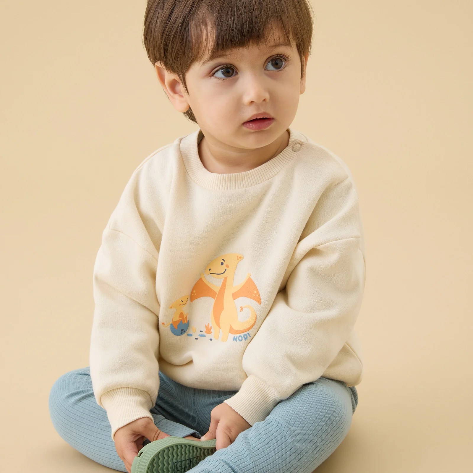 Pterodactyl Dinosaur Oversized Sweatshirt
