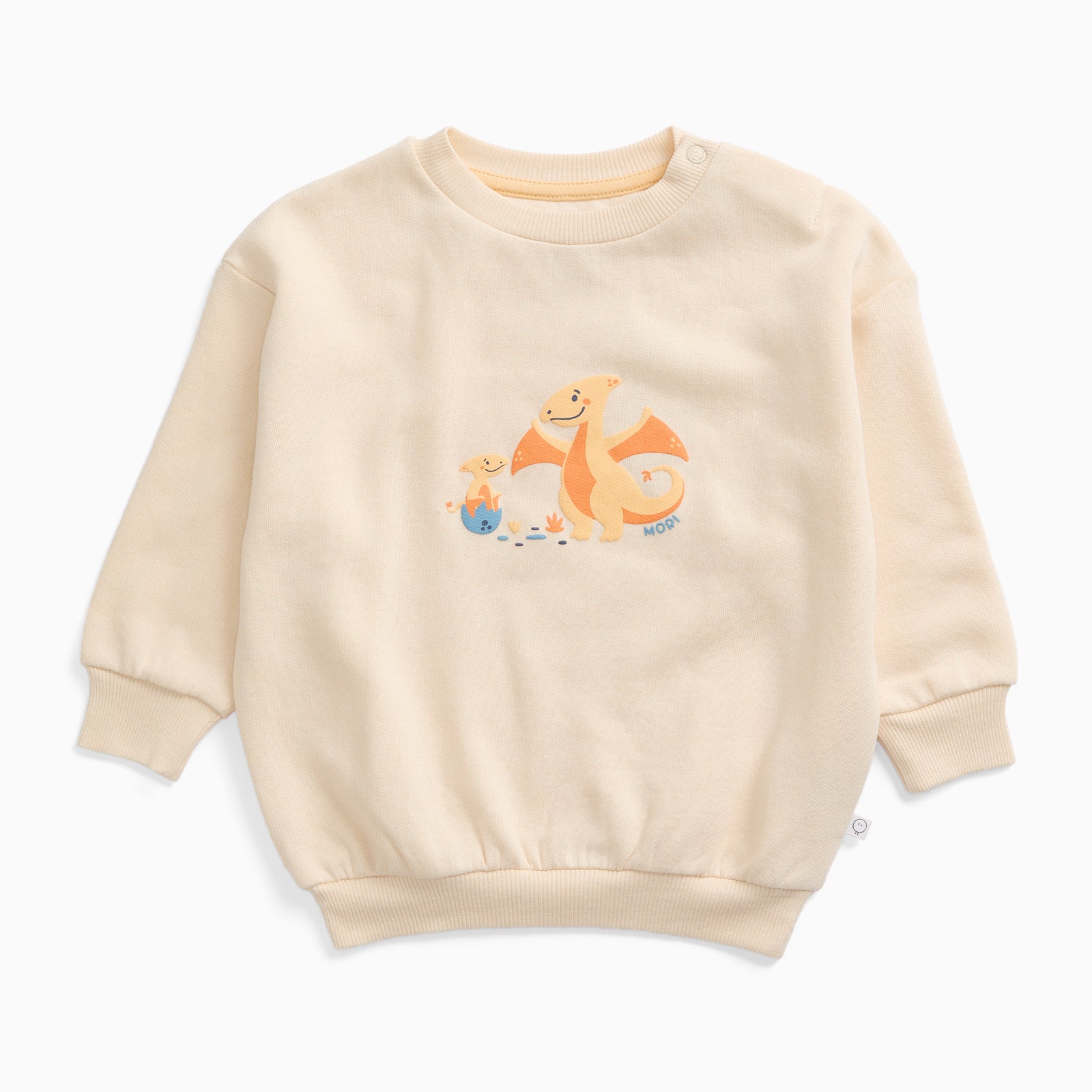 Pterodactyl Dinosaur Oversized Sweatshirt - Image 3