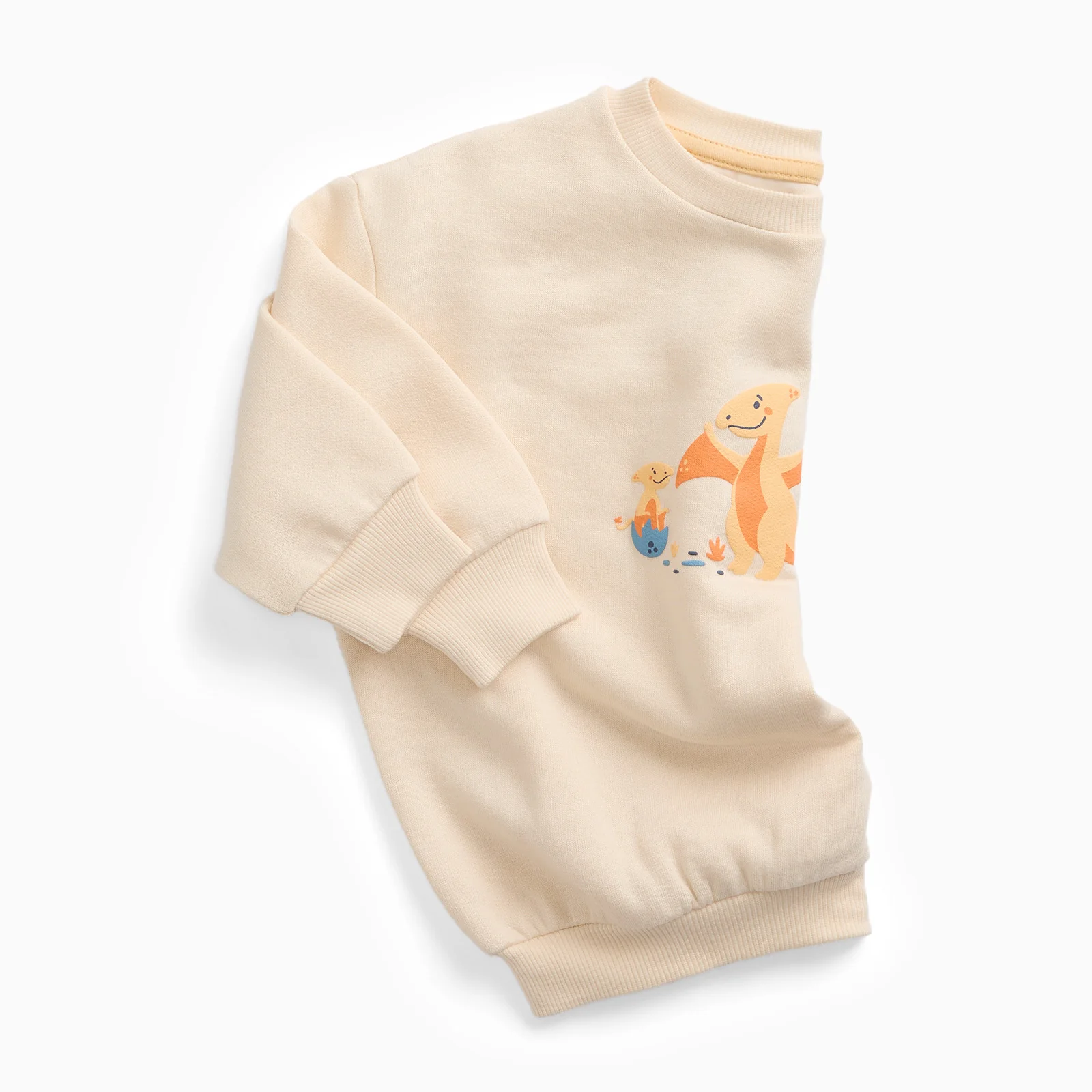 Pterodactyl Dinosaur Oversized Sweatshirt - Image 4
