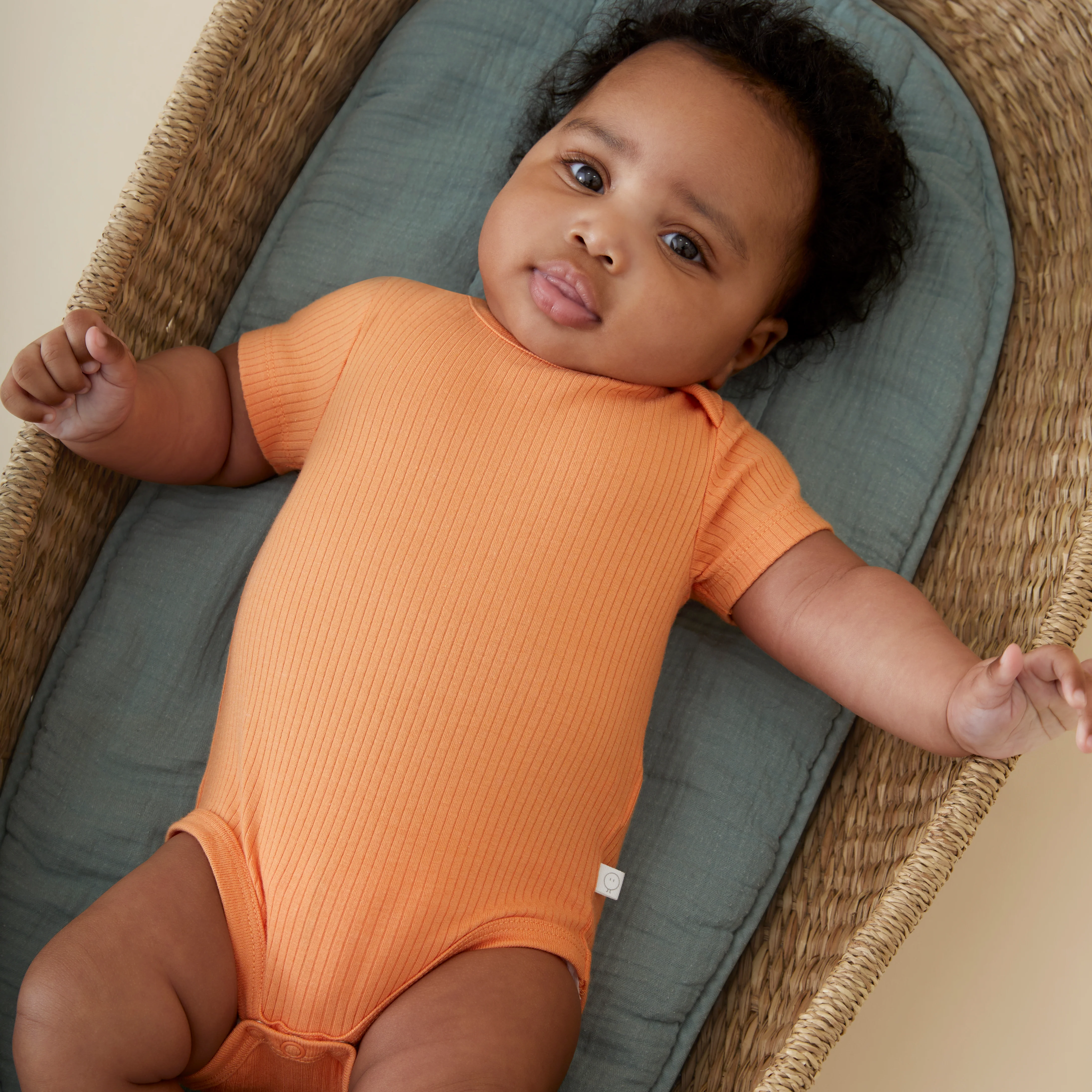 Ribbed Short Sleeve Bodysuit - Image 4