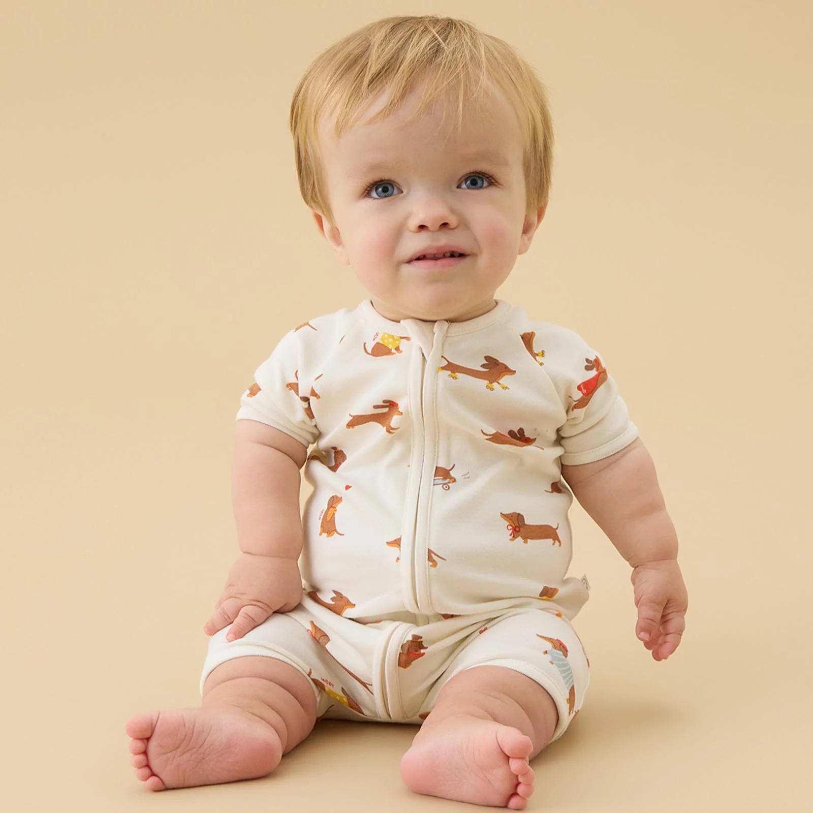 Sausage Dog Summer Sleepsuit
