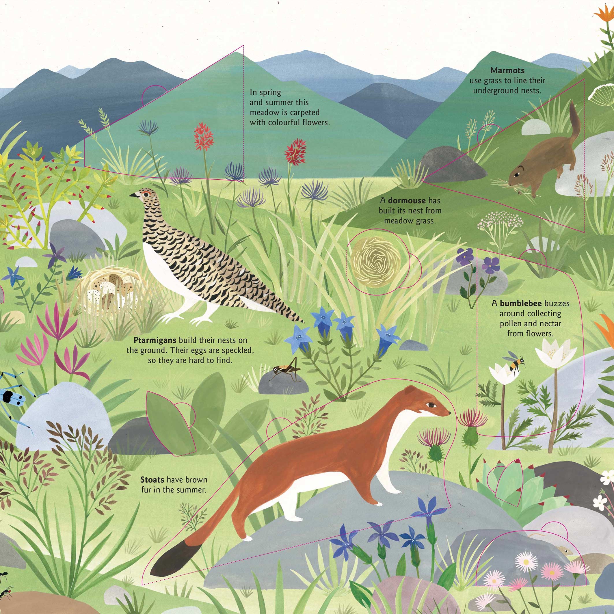 Small Worlds: Earth Book - Image 3