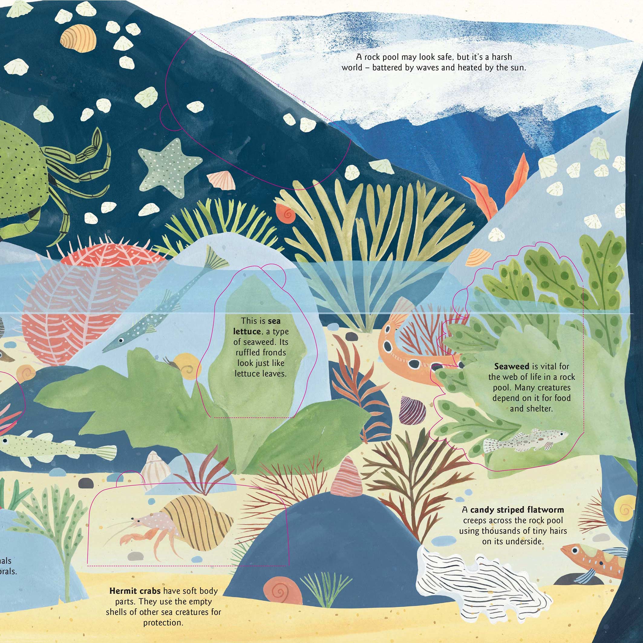 Small Worlds: Water Book - Image 3