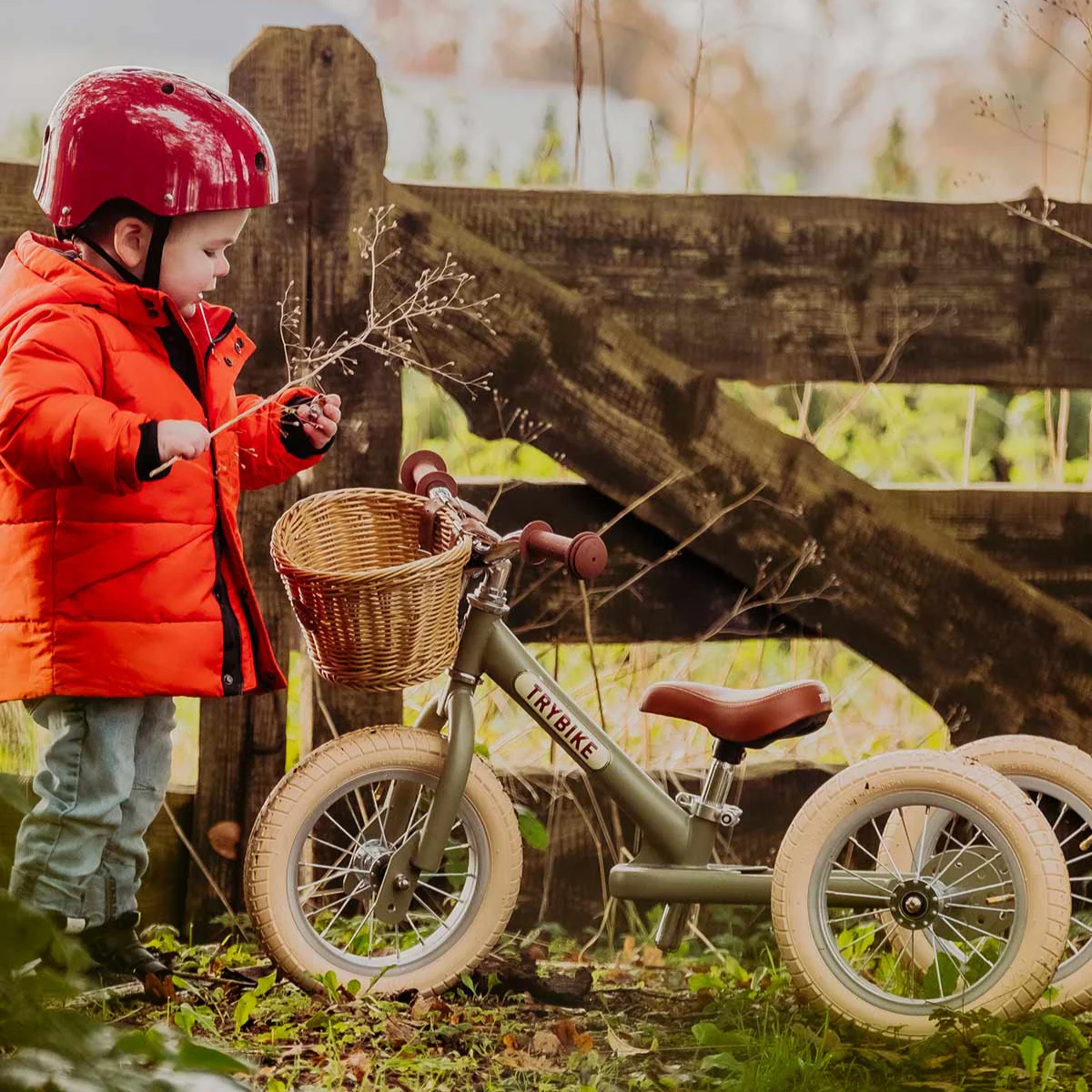 Trybike basket - Image 4