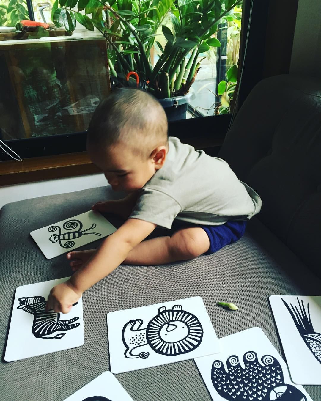 Wee Gallery Jungle Art Cards for Baby - Image 4